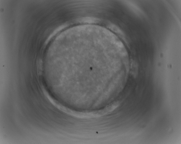 X0000081310012200702012346