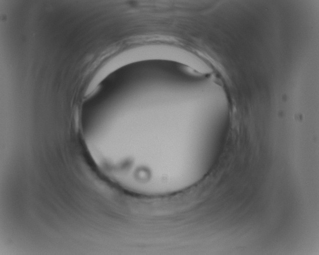 X0000081310013200702012346