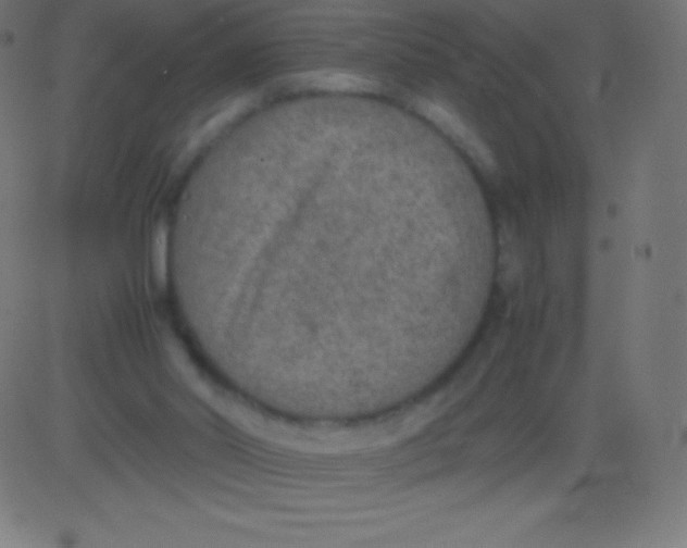 X0000081310014200702012346