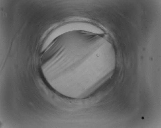 X0000081310015200702012346