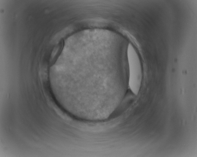 X0000081310017200702012346