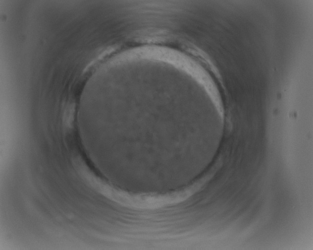 X0000081310018200702012346