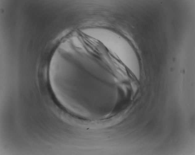 X0000081310019200702012346