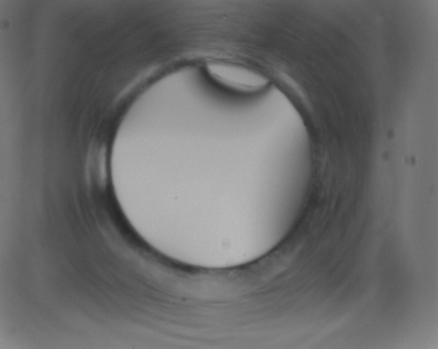 X0000081310020200702012346