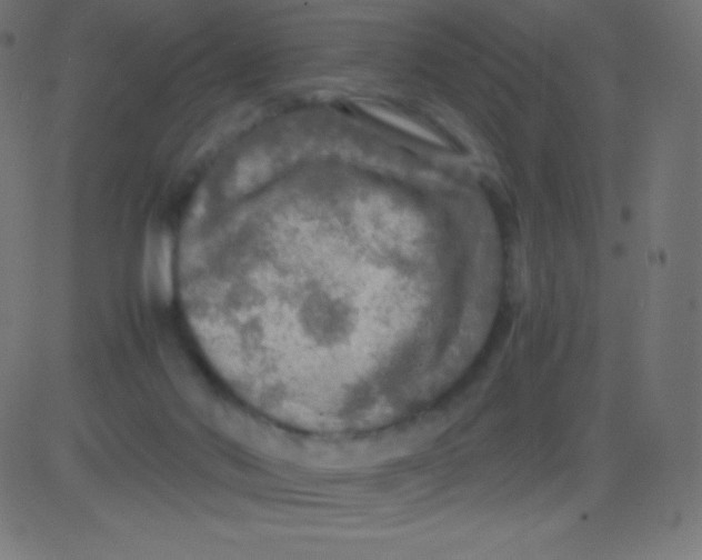 X0000081310022200702012345