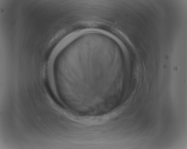 X0000081310023200702012345