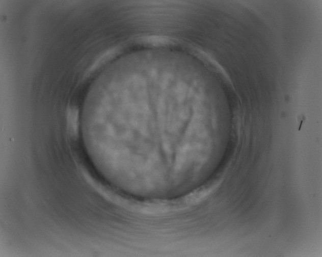 X0000081310024200702012345