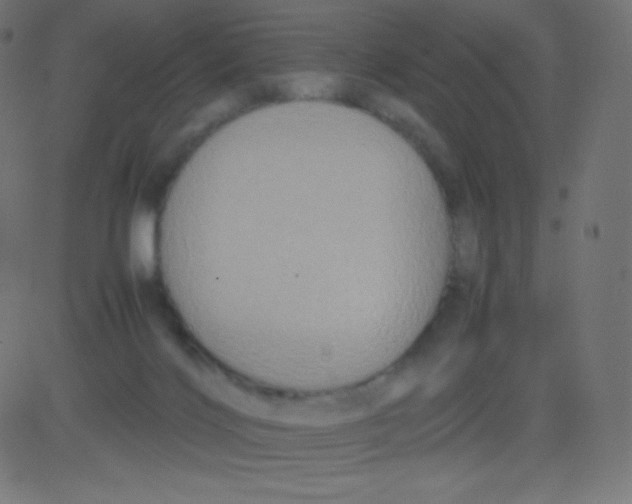 X0000081310028200702012345