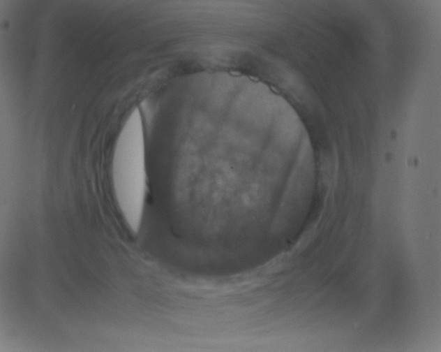 X0000081310029200702012345