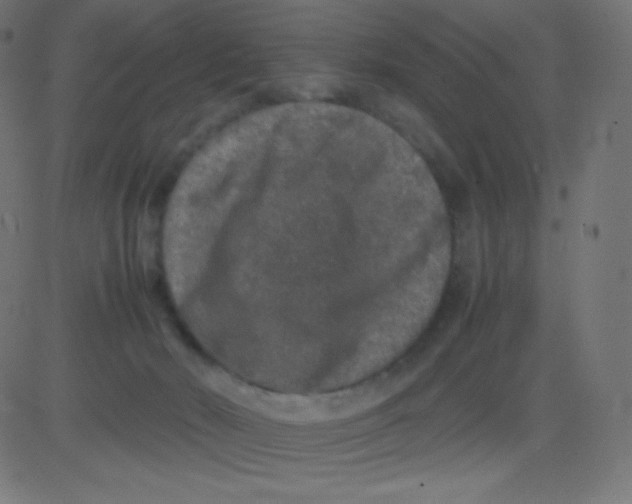 X0000081310030200702012345