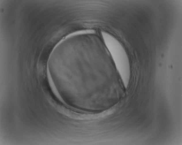 X0000081310031200702012345