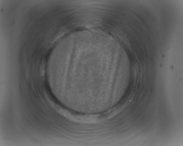 X0000081310032200702012345