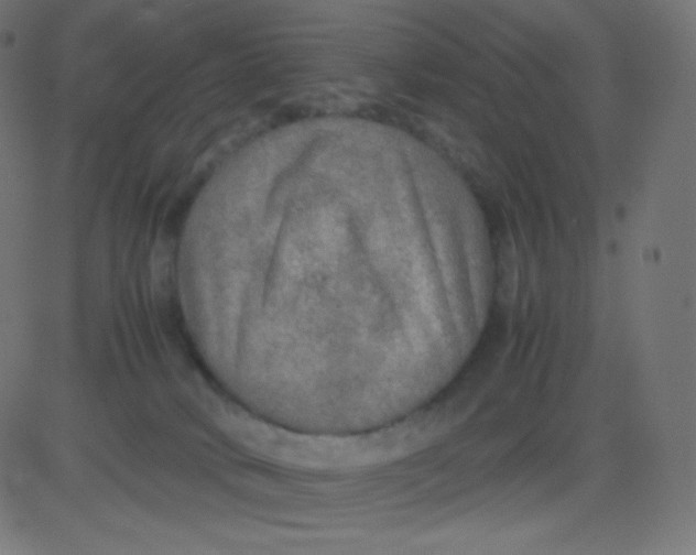 X0000081310034200702012345