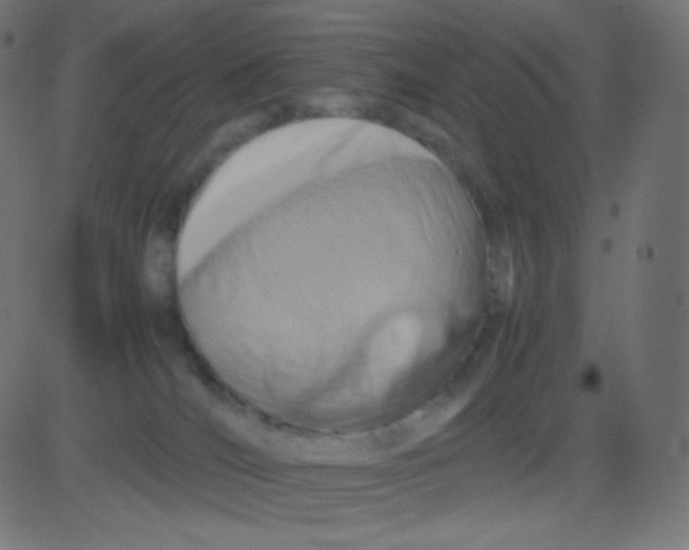 X0000081310036200702012345