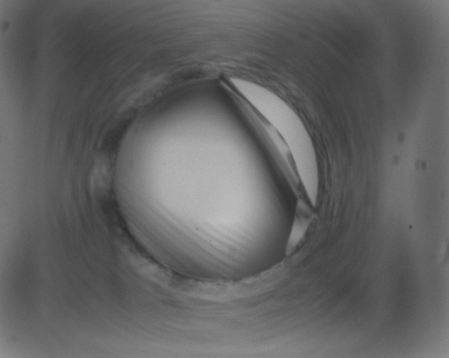 X0000081310037200702012345