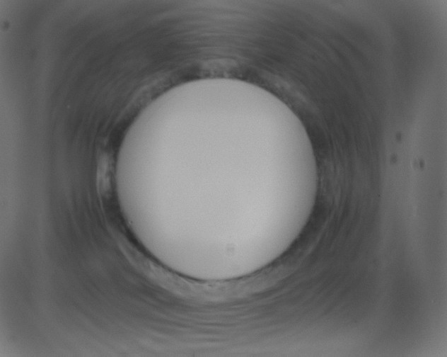 X0000081310038200702012345