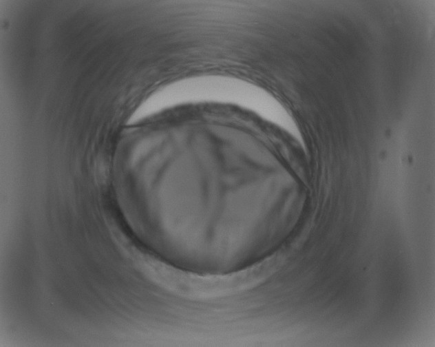 X0000081310039200702012345