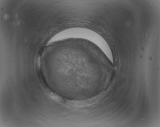 X0000081310041200702012345