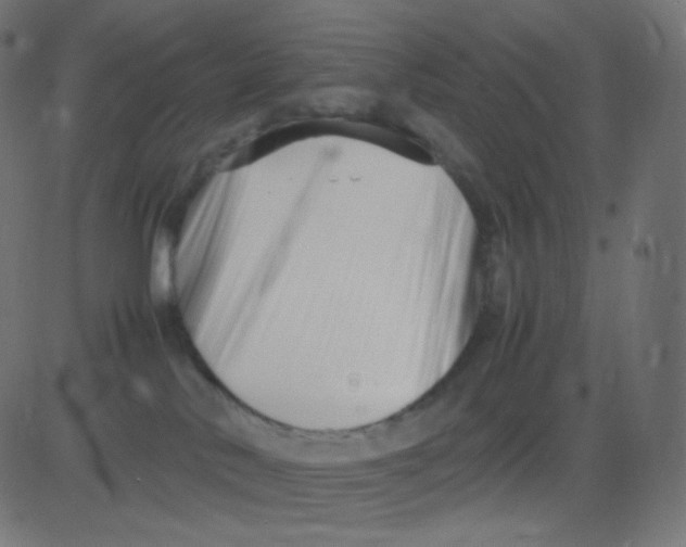 X0000081310042200702012345