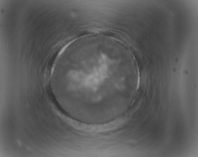 X0000081310043200702012345