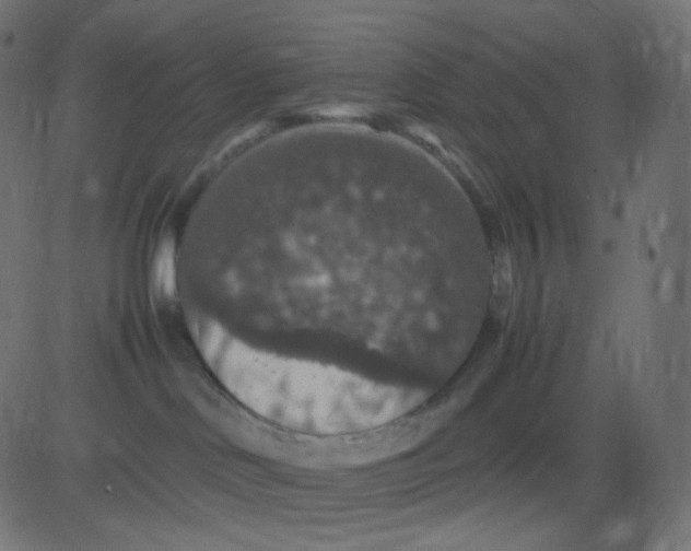 X0000081310046200702012345