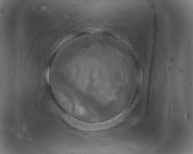 X0000081310047200702012345