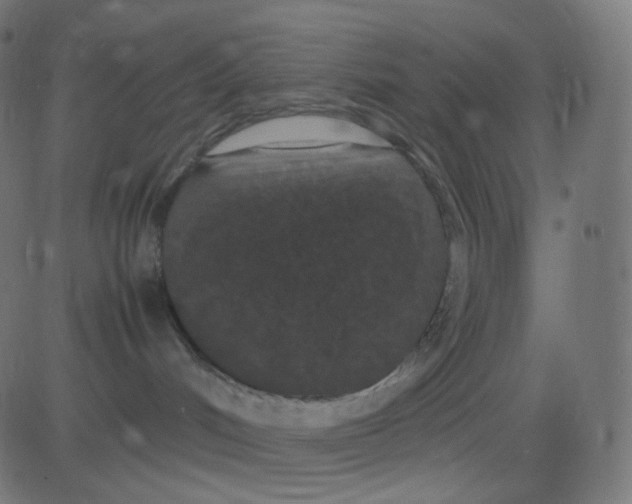 X0000081310048200702012345