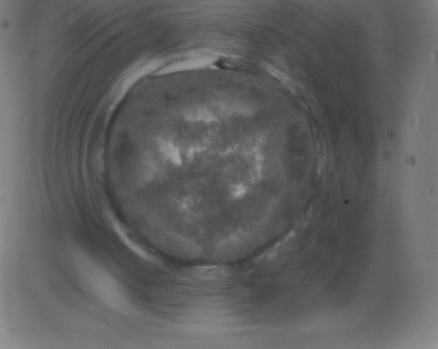 X0000081310050200702012344