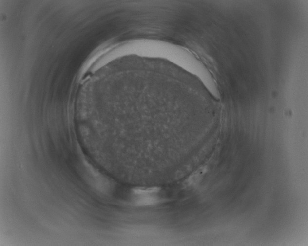 X0000081310051200702012344