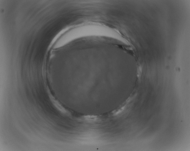 X0000081310052200702012344