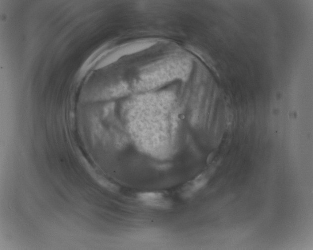 X0000081310053200702012344