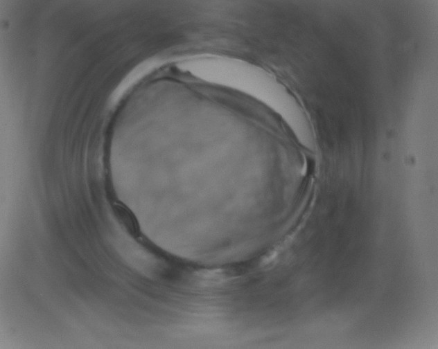 X0000081310054200702012344