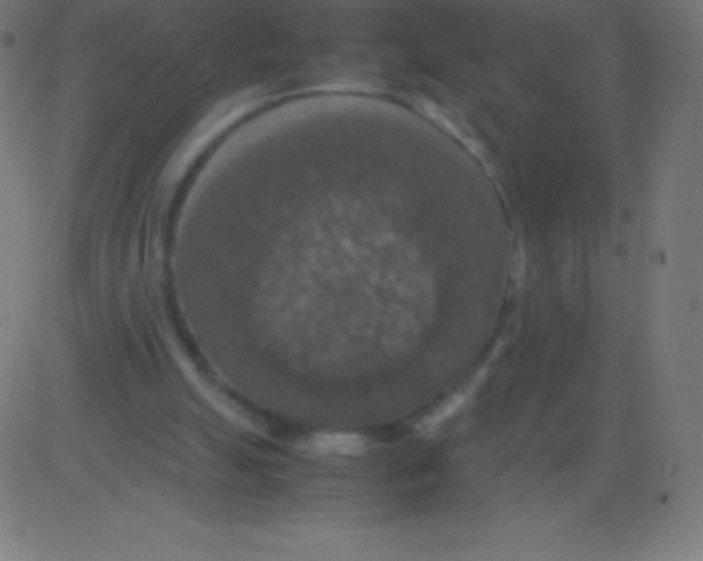 X0000081310055200702012344