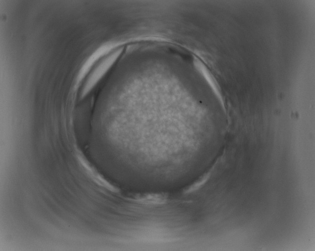 X0000081310056200702012344