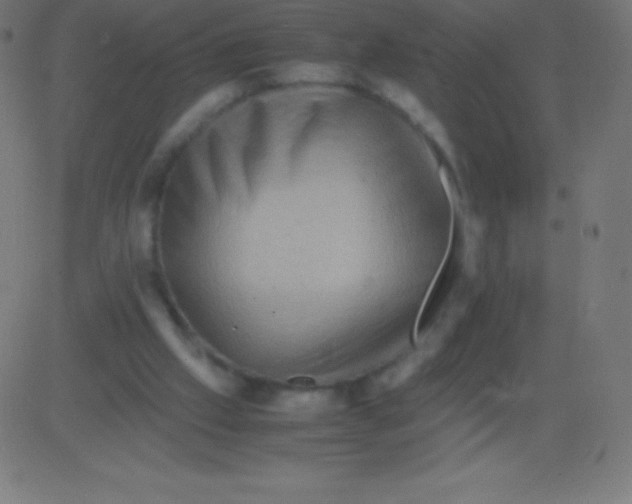 X0000081310057200702012344