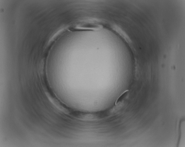 X0000081310058200702012344