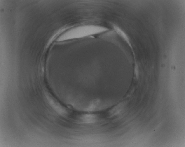 X0000081310059200702012344