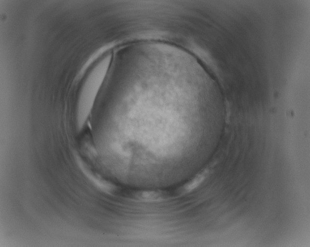 X0000081310060200702012344