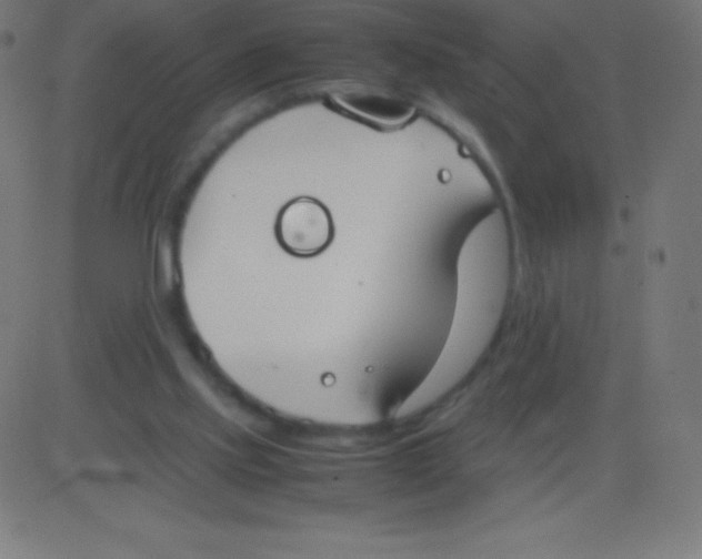 X0000081310061200702012344