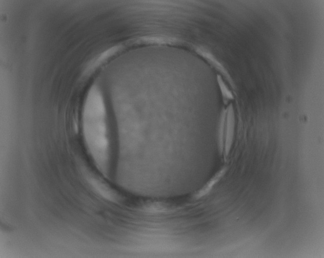 X0000081310062200702012344