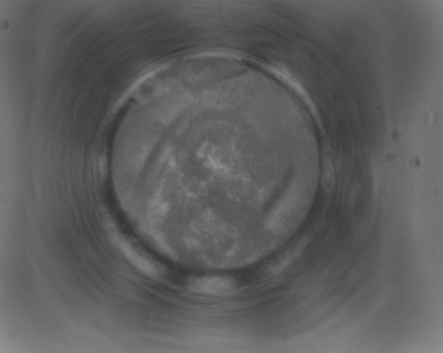 X0000081310063200702012344