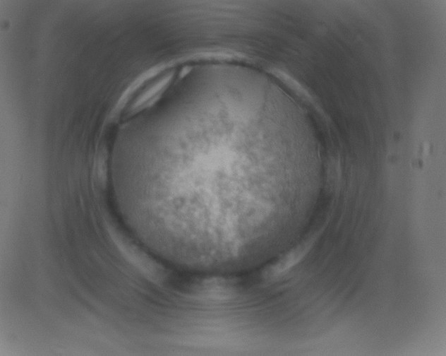 X0000081310064200702012345