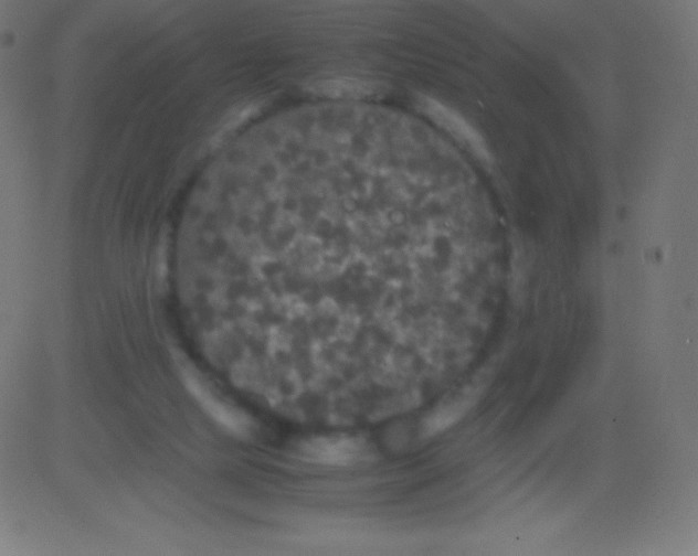 X0000081310065200702012345