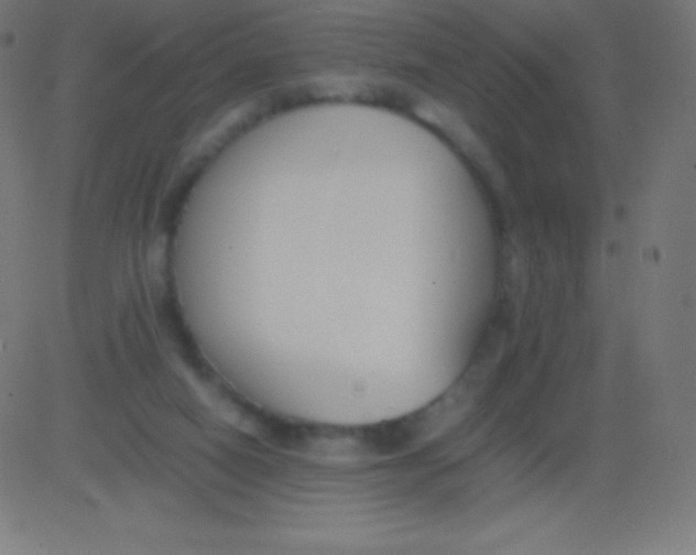 X0000081310066200702012345