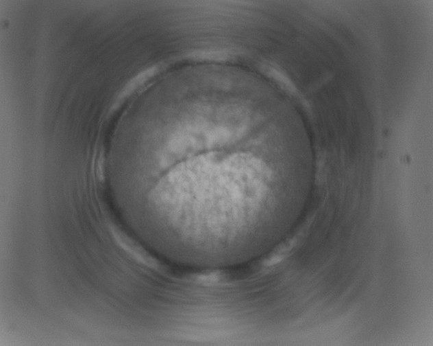 X0000081310068200702012345