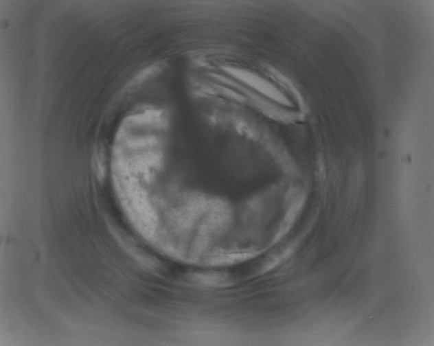 X0000081310069200702012345