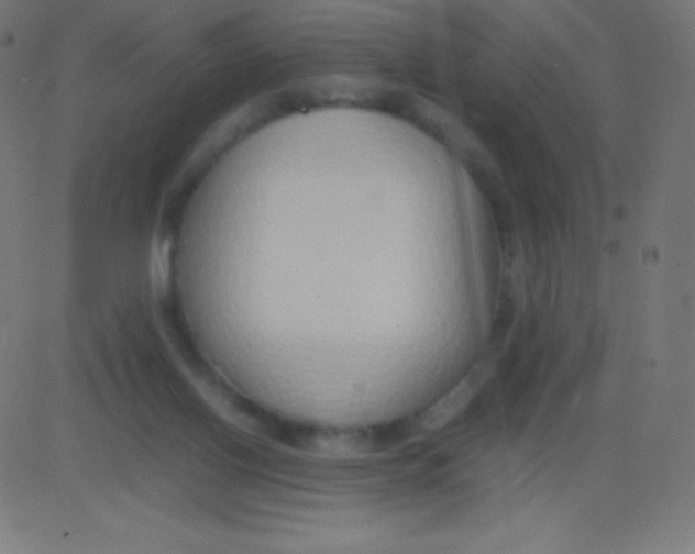 X0000081310070200702012345