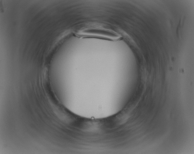 X0000081310071200702012345