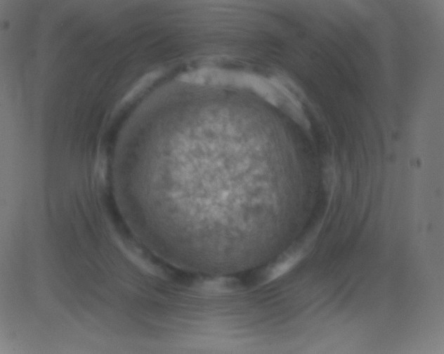 X0000081310072200702012345