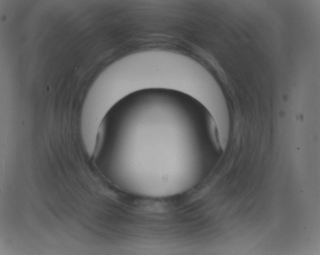 X0000081310073200702012345